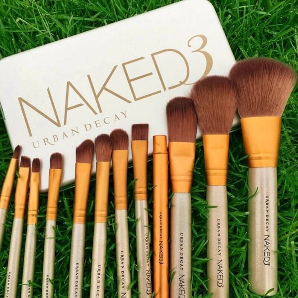 Buy Professional Naked 3 Makeup Brushes in pakistan sanwarna.pk